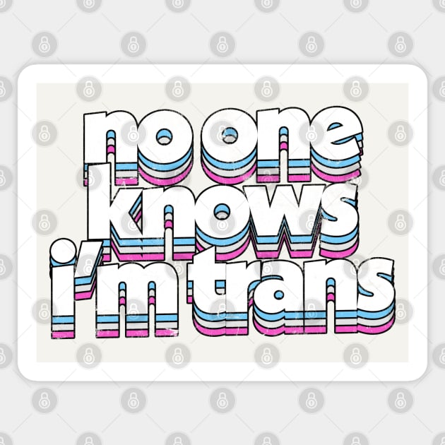 No One Know I'm Trans  - Trans Flag Rainbow Design Sticker by DankFutura